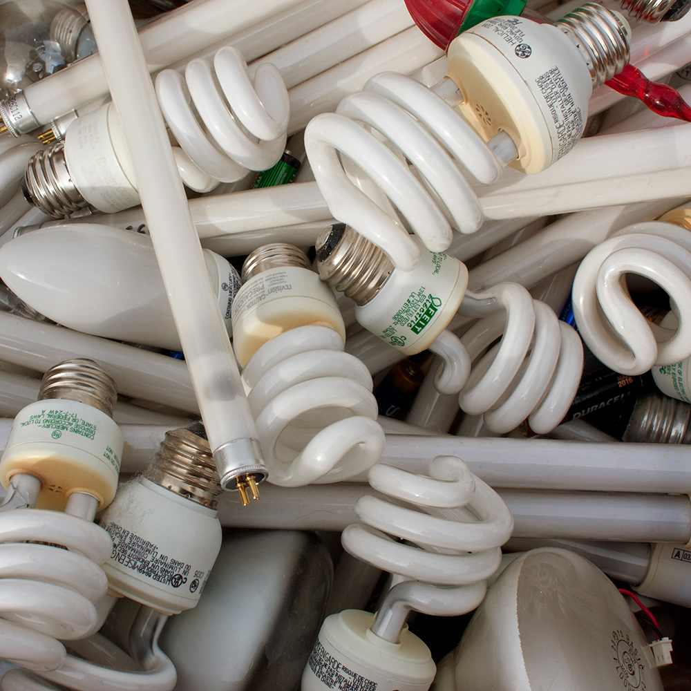 group of light bulbs